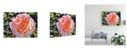 Trademark Global David Lloyd Glover Vibrant Pink Blossom Canvas Art - 20" x 25"